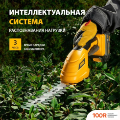 Denzel CGS-100 59430 (С 1-ИМ АКБ) (127253)