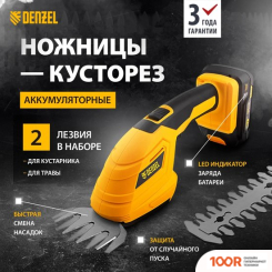 Denzel CGS-100 59430 (С 1-ИМ АКБ) (127253)
