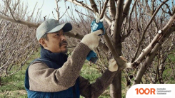 Bosch PRO PRUNER PROFESSIONAL 06019K1021 (С 2-МЯ АКБ) (127204)