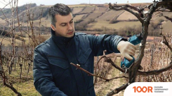 Bosch PRO PRUNER PROFESSIONAL 06019K1021 (С 2-МЯ АКБ) (127204)