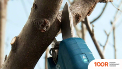 Bosch PRO PRUNER PROFESSIONAL 06019K1021 (С 2-МЯ АКБ) (127204)