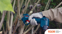 Bosch PRO PRUNER PROFESSIONAL 06019K1020 (БЕЗ АКБ) (127203)