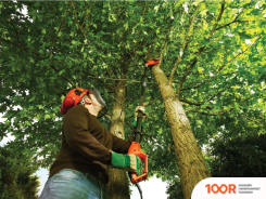 Black & Decker PS7525 (127178)