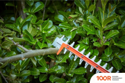 Black & Decker BEHTS551-QS (127173)