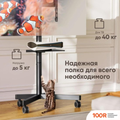 Кронштейн Onkron TS1137 (ЧЕРНЫЙ) (126716)