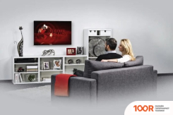 Кронштейн Hama 00220805 (126424)