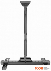 Кронштейн Gembird WM-55ST-02 (126351)