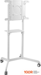 Кронштейн CACTUS CS-ST1146WT (126179)