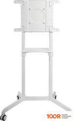 Кронштейн CACTUS CS-ST1146WT (126179)