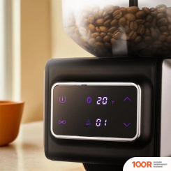 Кофемолка Kitfort KT-7547 (125816)