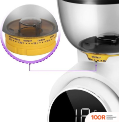 Кофемолка Kitfort KT-7474 (125804)