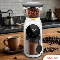 Кофемолка Kitfort KT-7474 (125804)