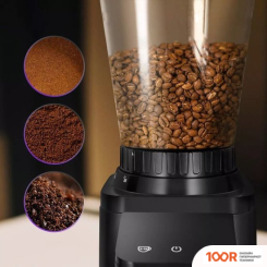 Кофемолка Kitfort KT-7432 (125795)