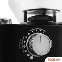 Кофемолка Kitfort KT-741 (125792)