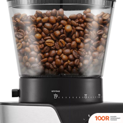 Кофемолка Kitfort KT-7245 (125780)