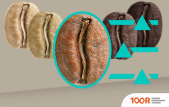 Кофемашина Siemens EQ900 TQ905RZ5 (125146)