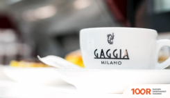 Кофемашина Gaggia CONCETTO EVO CAPPUCCINO (123778)