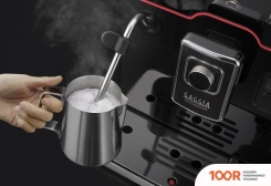 Кофемашина Gaggia ACCADEMIA ONE TOUCH RI9781/01 (123750)