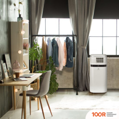 Кондиционер Electrolux ICE COLUMN EACM-20 JK/N3 (118038)