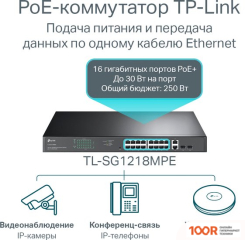 TP-Link TL-SG1218MPE V4.20 (74196)