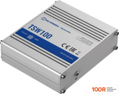 Teltonika TSW100 (74093)