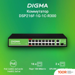 Digma DSP216F-1G-1C-R300 (73718)