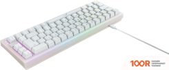 Клавиатура Xtrfy K5 RGB (БЕЛЫЙ) (73219)