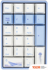 Клавиатура Varmilo VA21M SEA MELODY (CHERRY MX BROWN) (73056)