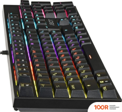 Клавиатура TFN SAIBOT KX-21 (72925)