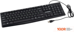 Клавиатура SunWind SW-KB100 (72886)