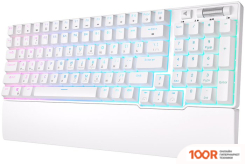 Клавиатура Royal Kludge RK96 RGB (БЕЛЫЙ, RK RED) (72791)