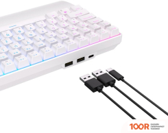 Клавиатура Royal Kludge RK96 RGB (БЕЛЫЙ, RK RED) (72791)