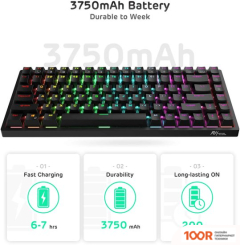 Клавиатура Royal Kludge RK84 RGB (ЧЕРНЫЙ, RK BROWN) (72778)