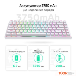 Клавиатура Royal Kludge RK84 RGB (БЕЛЫЙ, RK BROWN) (72775)