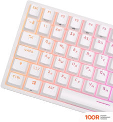 Клавиатура Royal Kludge RK84 RGB (БЕЛЫЙ, RK BROWN) (72775)