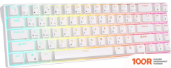 Клавиатура Royal Kludge RK71 RGB (БЕЛЫЙ, RK RED) (72769)