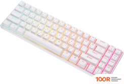 Клавиатура Royal Kludge RK71 RGB (БЕЛЫЙ, RK BROWN) (72768)