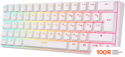 Клавиатура Royal Kludge RK61 NEW RGB (БЕЛЫЙ, RK BROWN) (72753)