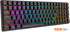 Клавиатура Royal Kludge RK100 RGB (ЧЕРНЫЙ, RK RED) (72752)