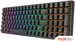Клавиатура Royal Kludge RK100 RGB (ЧЕРНЫЙ, RK BROWN) (72751)