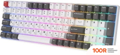 Клавиатура Royal Kludge RK100 RGB (БЕЛЫЙ/СЕРЫЙ, RK RED) (72750)