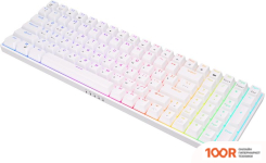 Клавиатура Royal Kludge RK100 RGB (БЕЛЫЙ, RK RED) (72748)