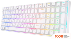 Клавиатура Royal Kludge RK100 RGB (БЕЛЫЙ, RK RED) (72748)
