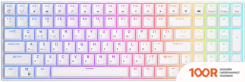 Клавиатура Royal Kludge RK100 RGB (БЕЛЫЙ, RK BROWN) (72747)