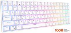 Клавиатура Royal Kludge RK100 RGB (БЕЛЫЙ, RK BROWN) (72747)