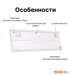 Клавиатура Royal Kludge RK-R87 RGB (БЕЛЫЙ, RK BLUE) (72733)