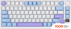 Клавиатура Royal Kludge RK-M75 RGB TARO MILK (RK SILVER) (72732)
