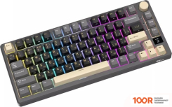 Клавиатура Royal Kludge RK-M75 RGB PHANTOM (RK SILVER) (72730)