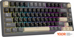 Клавиатура Royal Kludge RK-M75 RGB PHANTOM (RK BROWN) (72729)