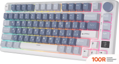 Клавиатура Royal Kludge RK-M75 RGB OCEAN BLUE (RK SILVER) (72728)